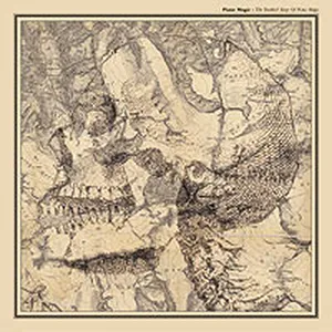 The troubled sleep of Piano magic